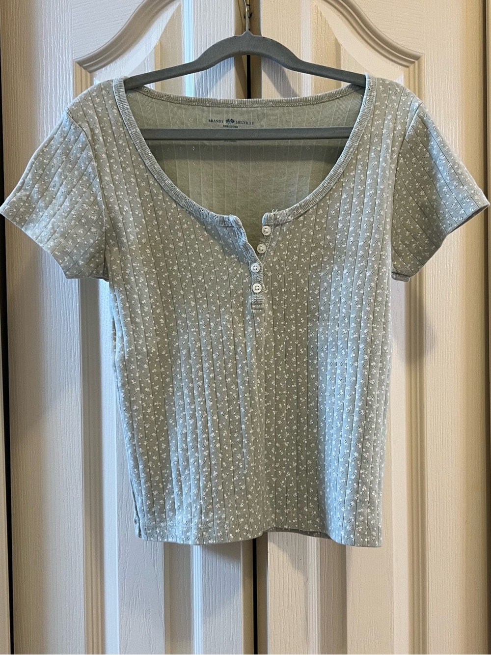 Brandy Melville Light Green Floral Top
